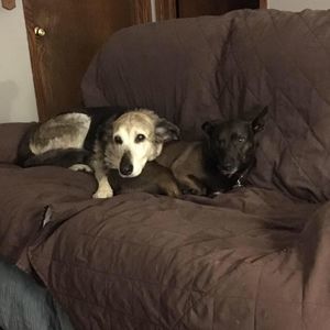 Meet your Posher, Lisa